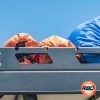 Sleeping bags attached to roof rack