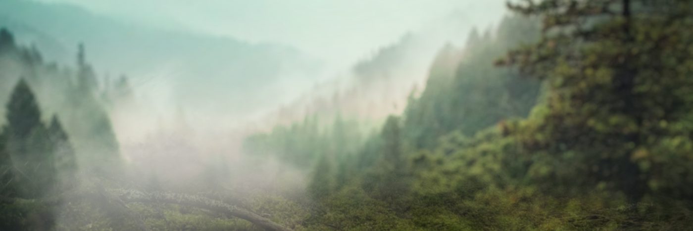 Razorback Offroad™