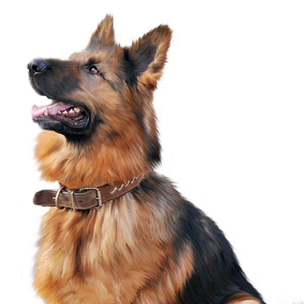 Razorback Offroad™